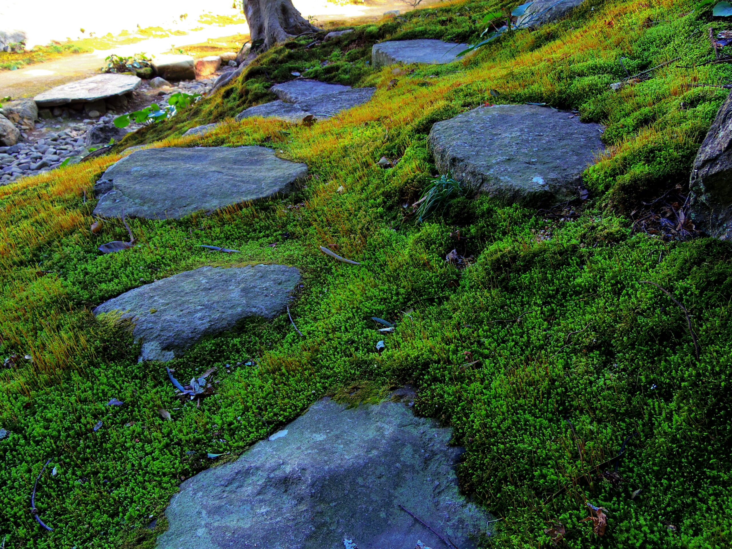 サイトリニューアル中!